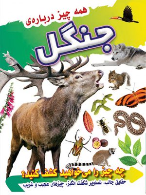 کتاب همه چیز درباره جنگل