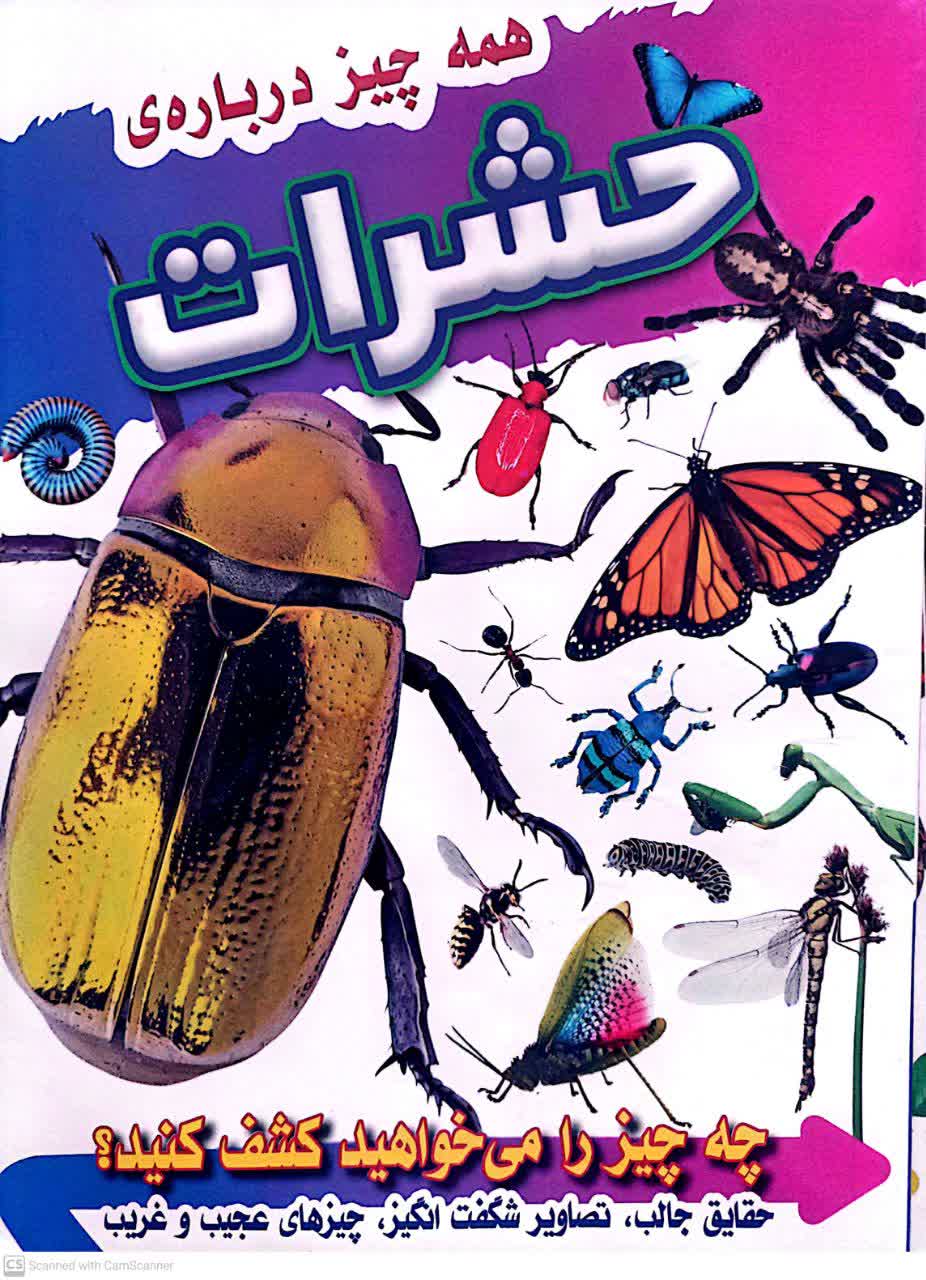 همه چیز درباره حشرات